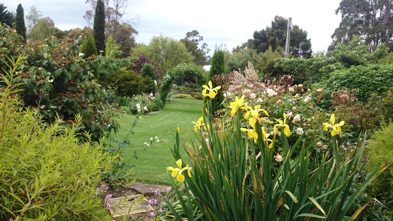 Gasthaus Altona Garden Retreat Spreyton Exterior foto
